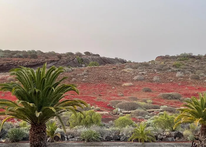 Casa Olas アパート パルム・マール