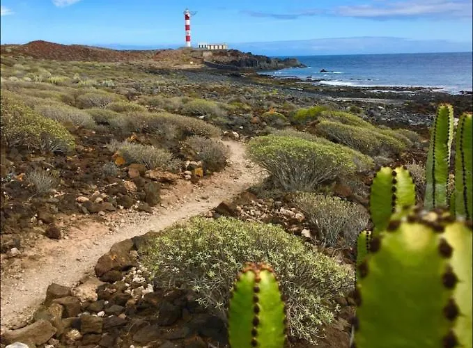 Casa Olas アパート パルム・マール