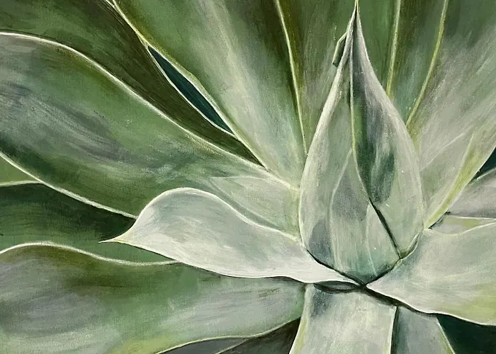 Casa Olas パルム・マール