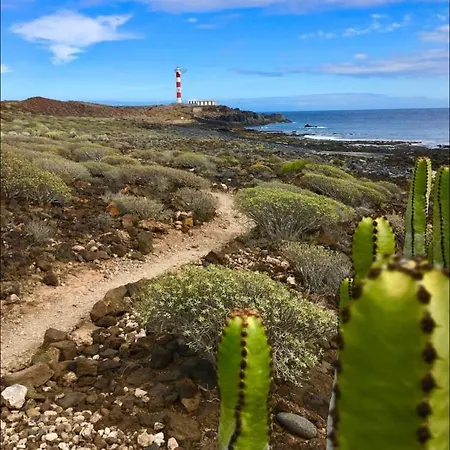 Casa Olas شقة بالم مار