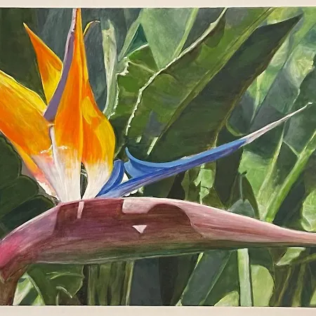 Casa Olas * 滨海帕尔姆