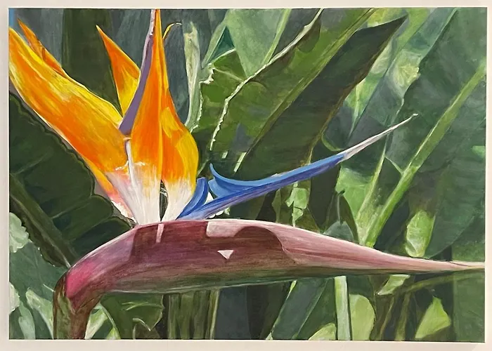 Casa Olas * Palm-mar